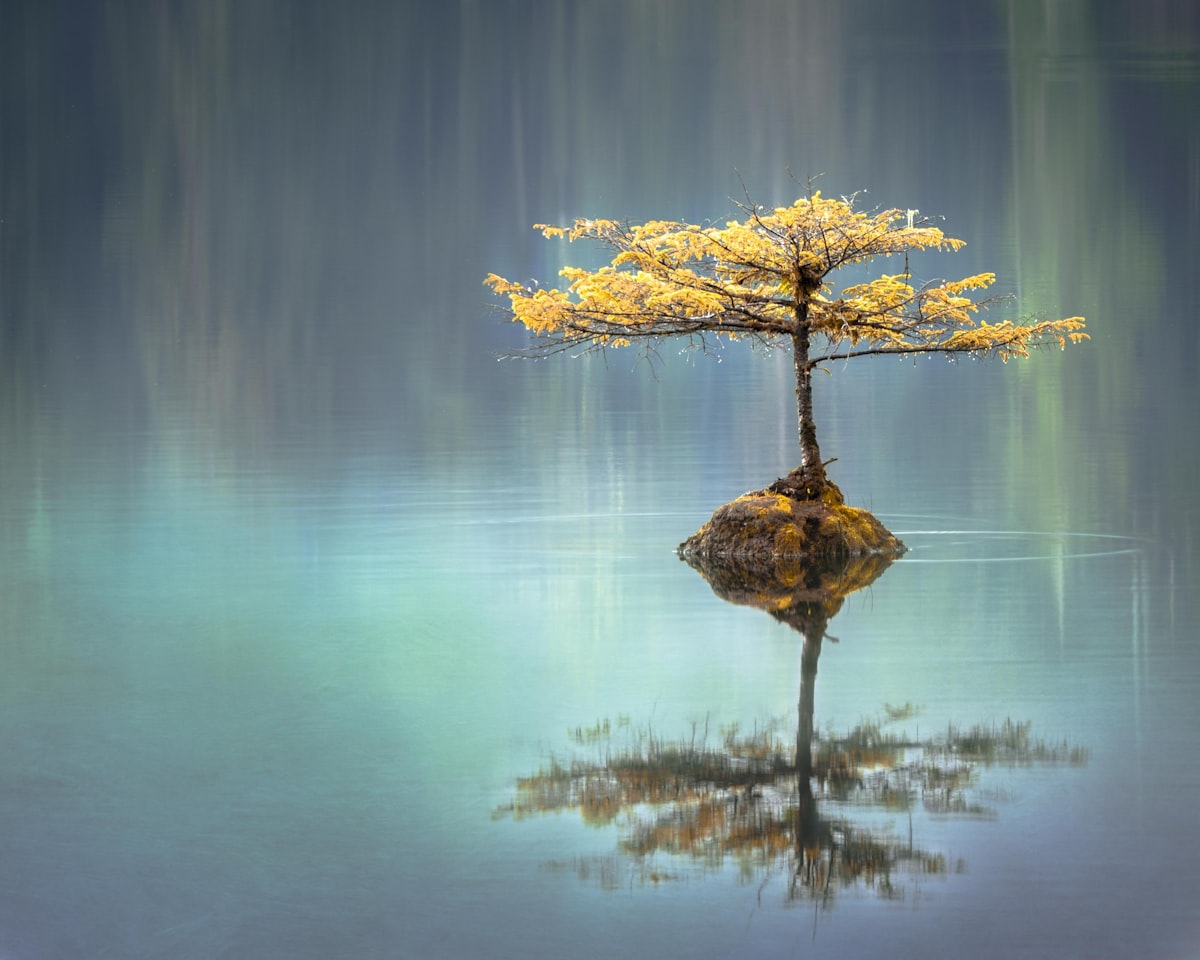 Soft light evoking spiritual presence and stillness